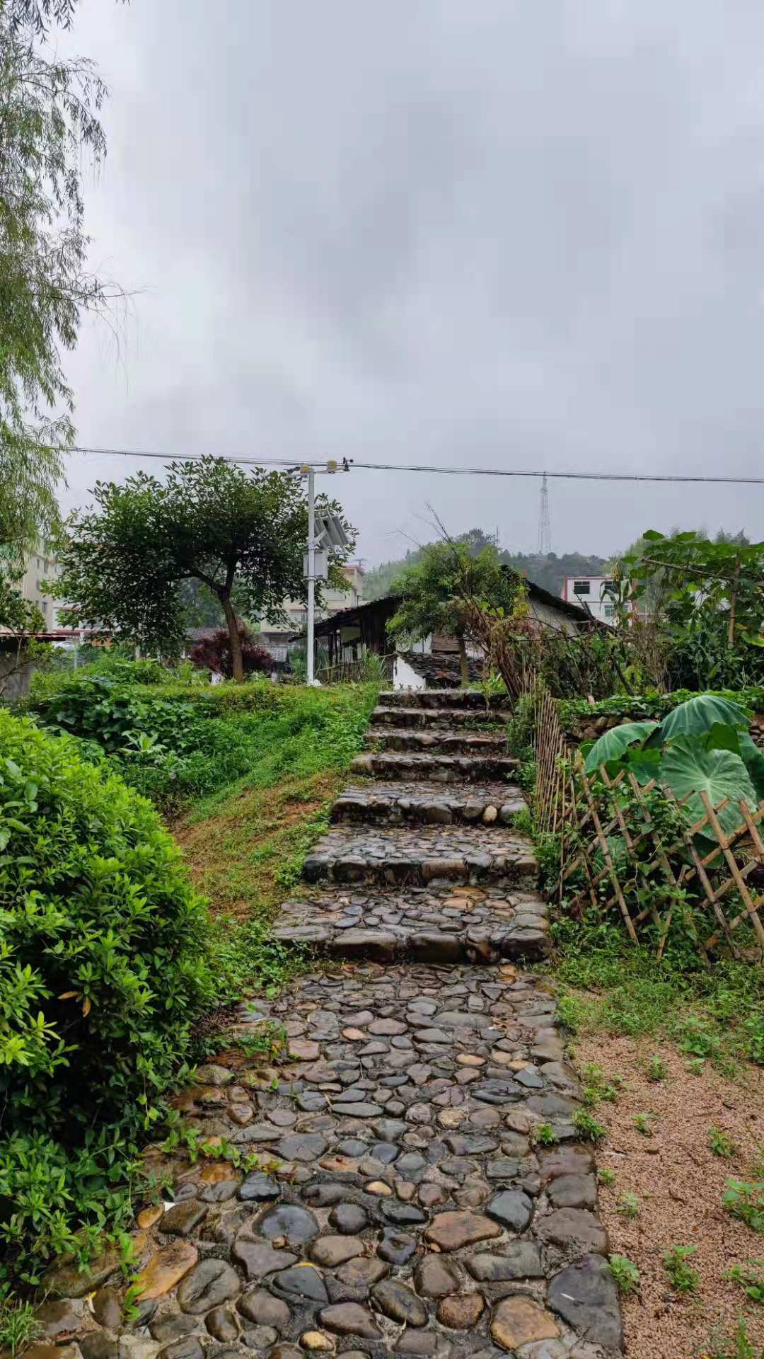 1647222733104864.jpg 1647222733104864.jpg